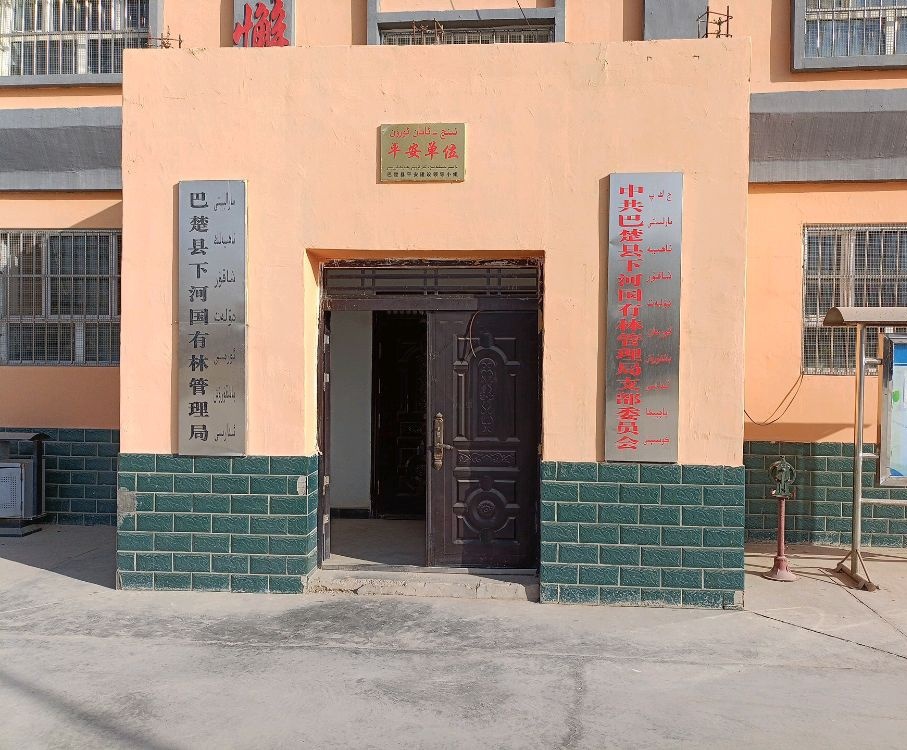 巴楚县下河国有林管理局