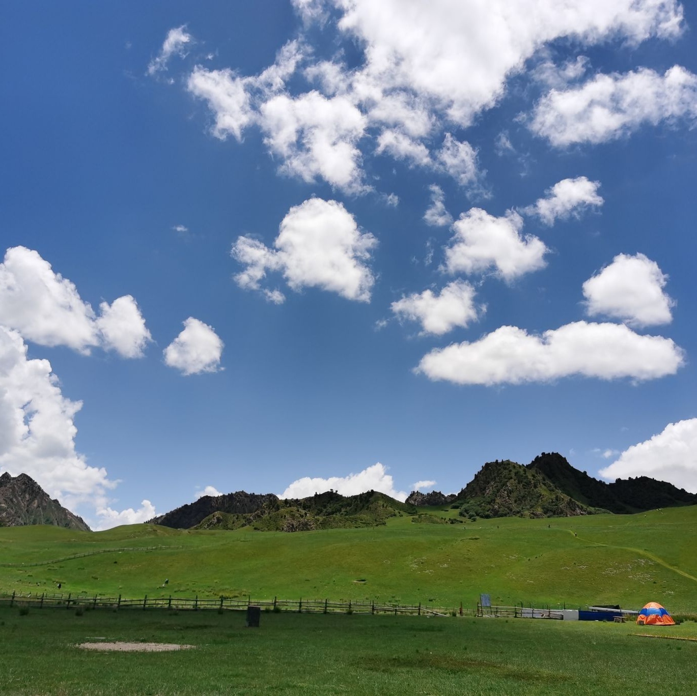 都兰县花海风景区
