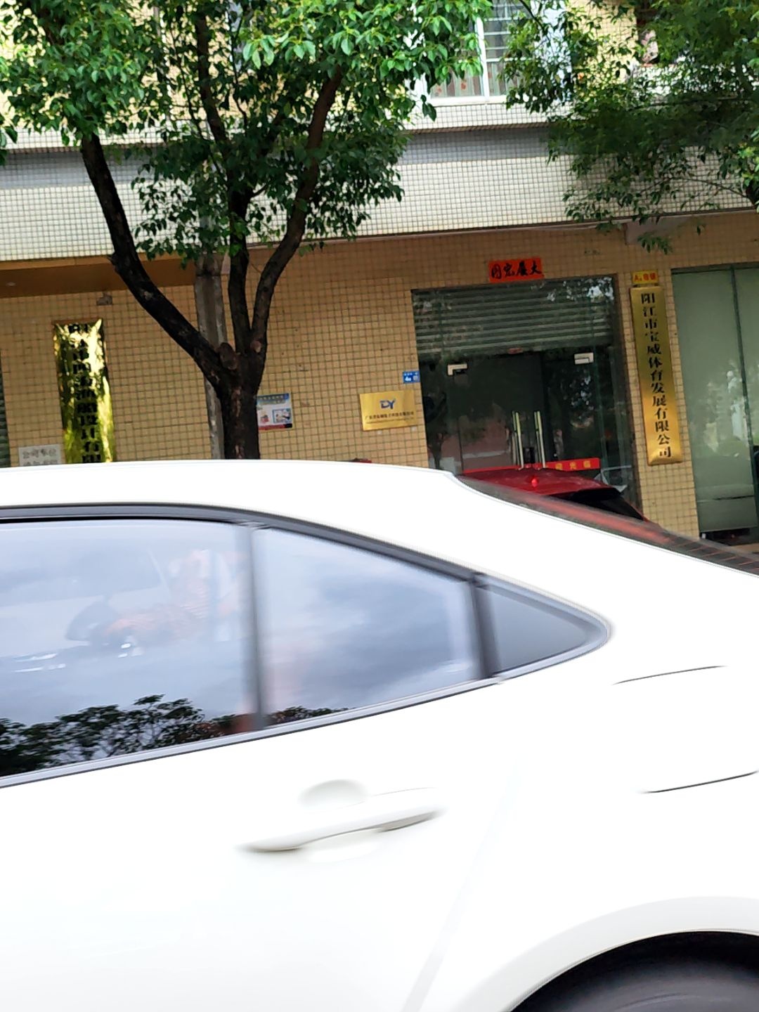 阳江市宝威体育发展有限公司