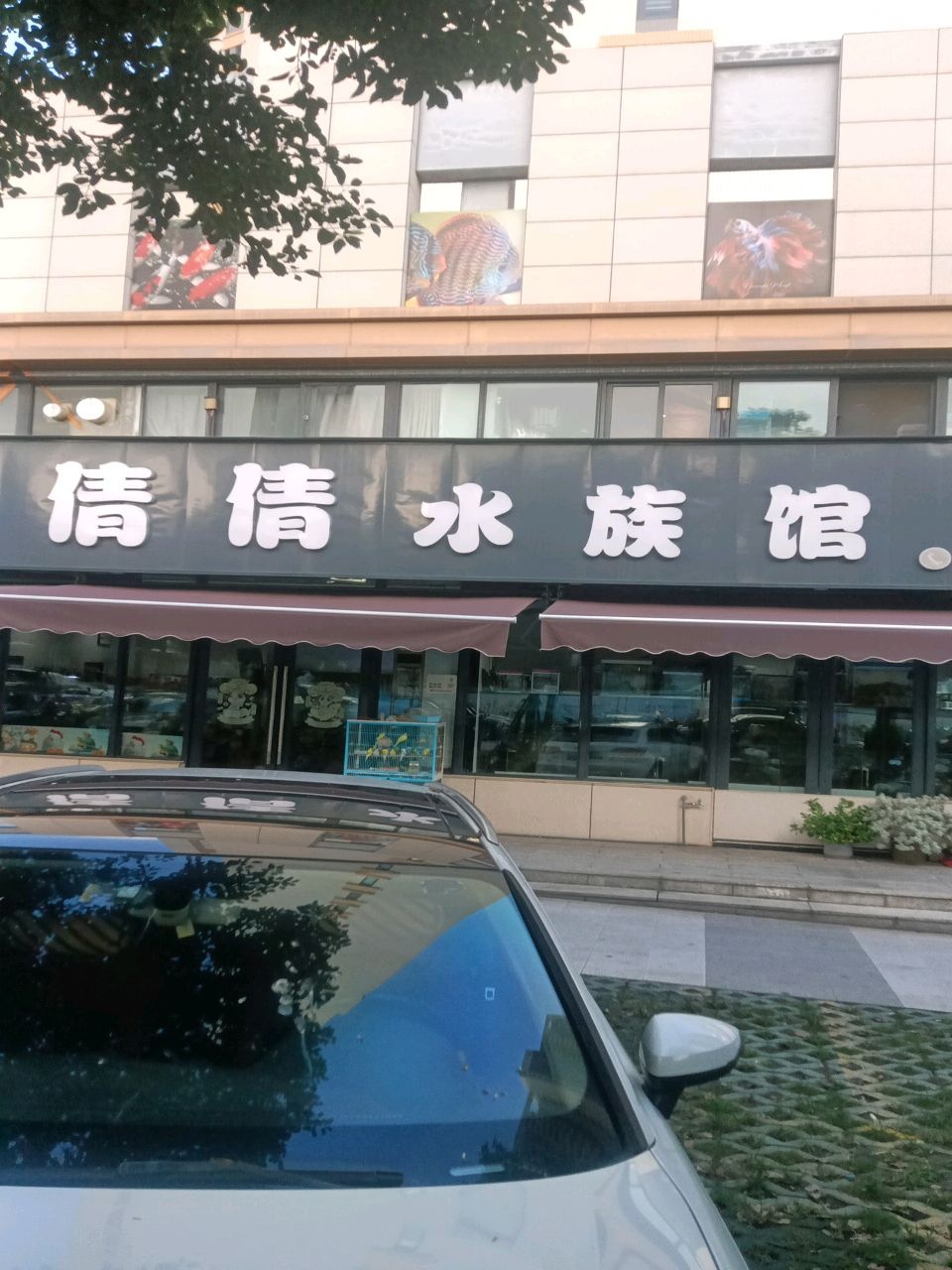 倩倩水族馆(官桥华尔顿总店)