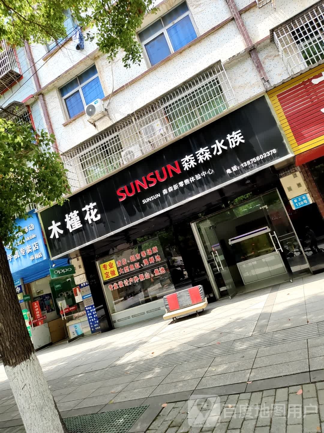 sen森水族(新正街店)