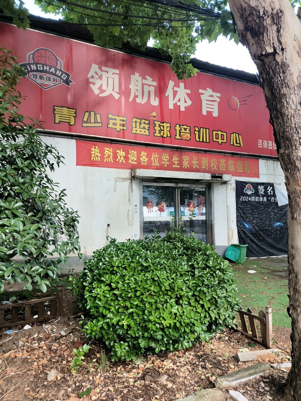 领航体育