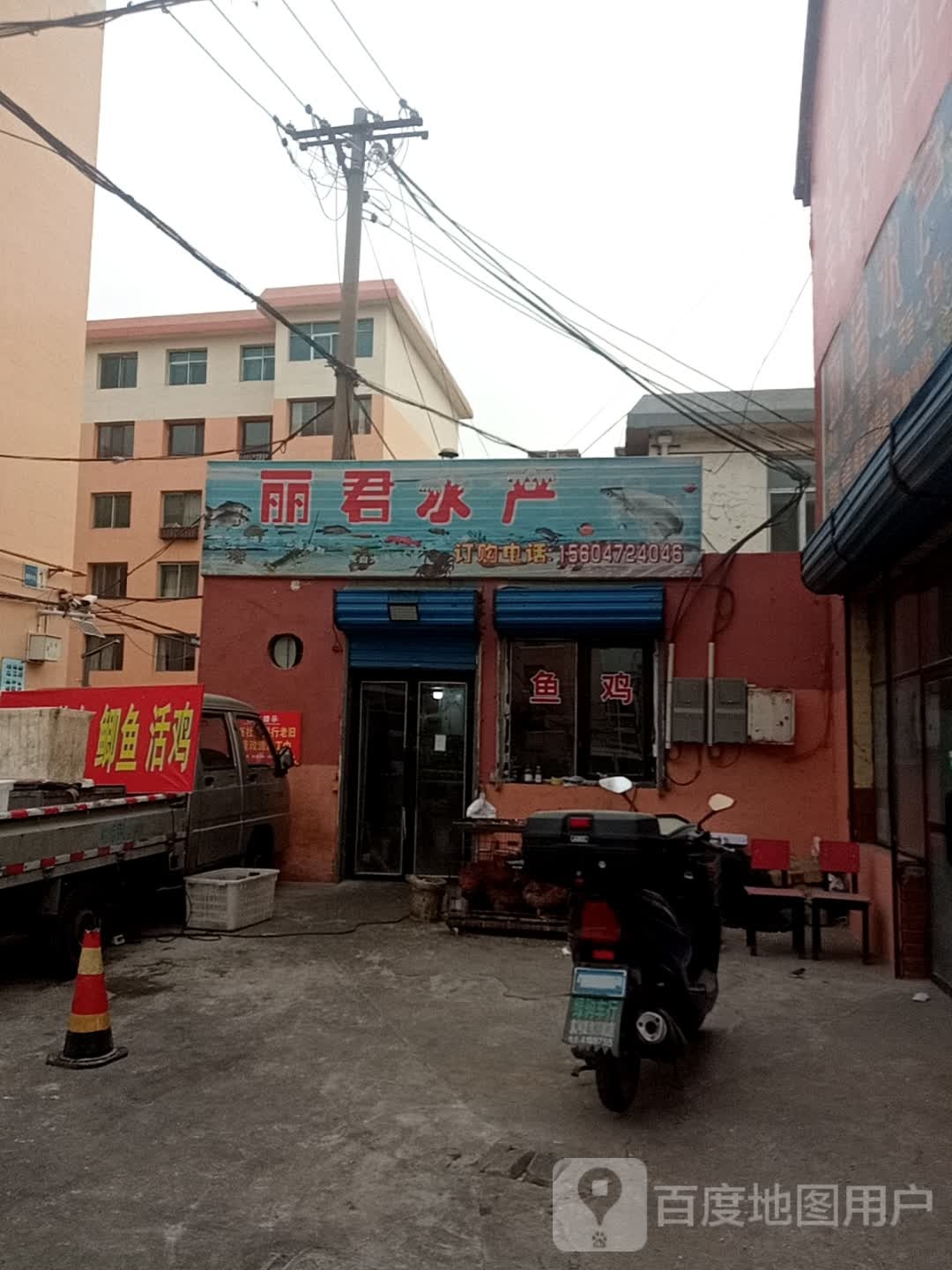 丽君水产