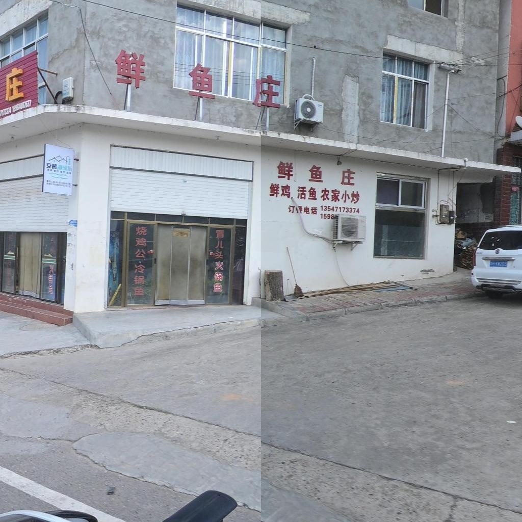 鲜鱼庄
