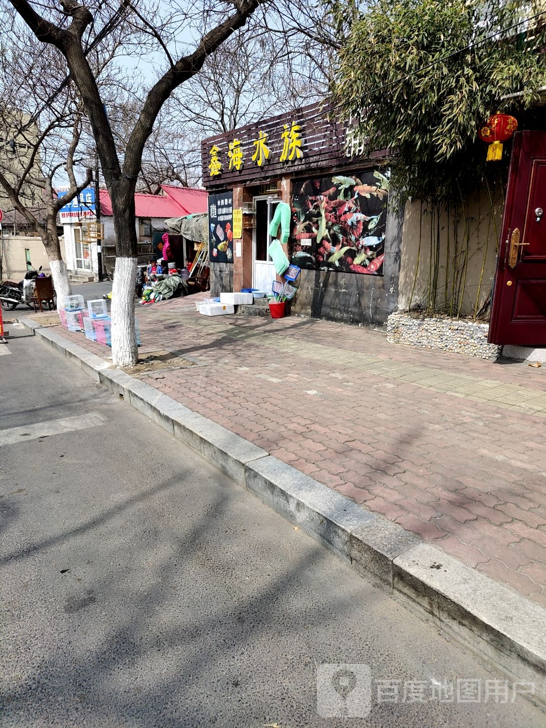 鑫海水族