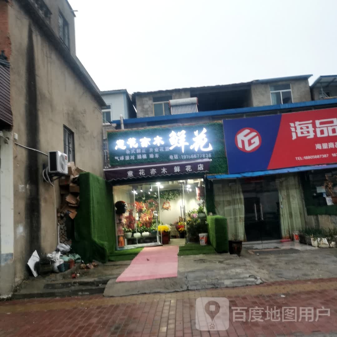 意花亦木鲜花
