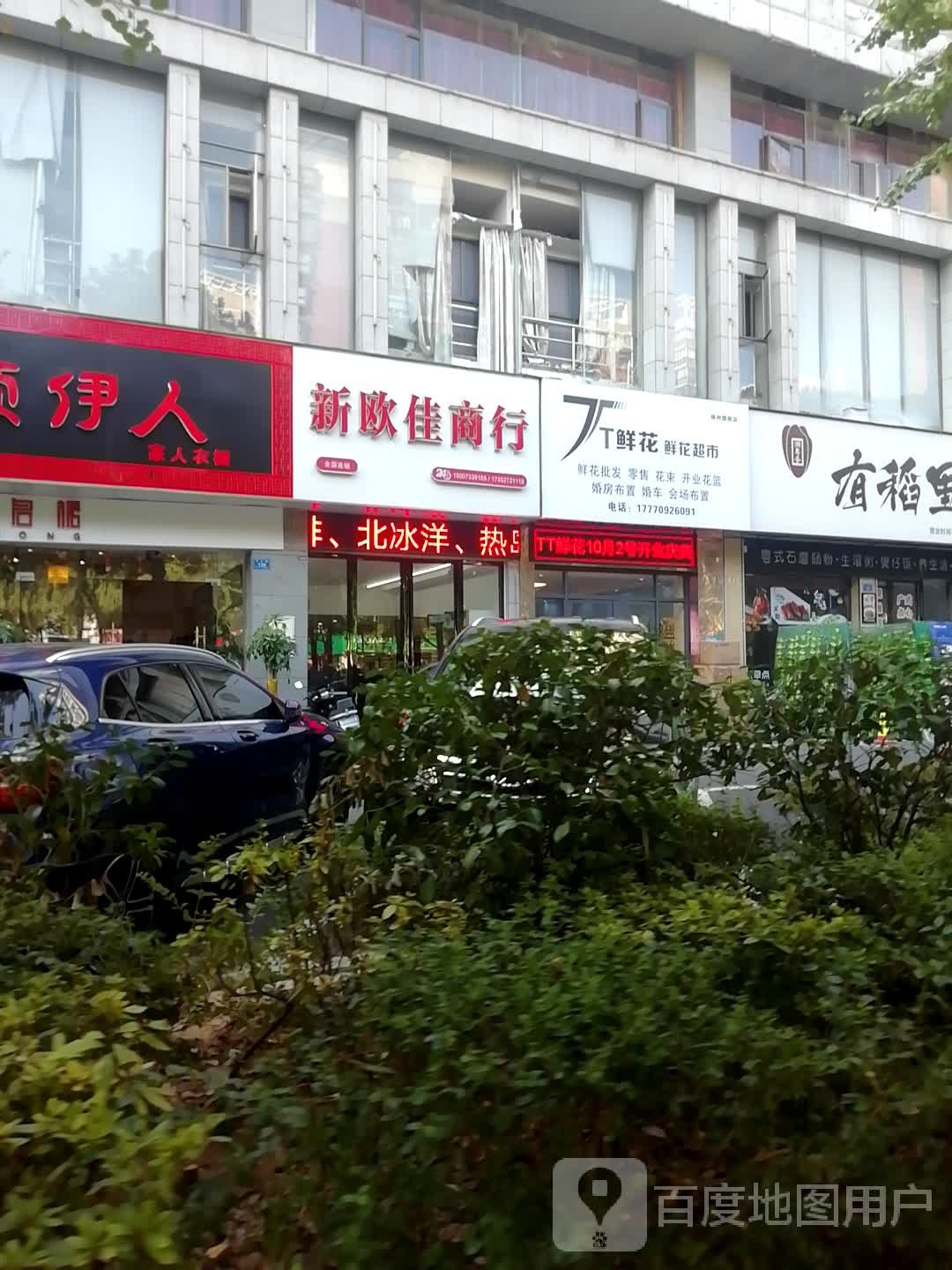 TT鲜花