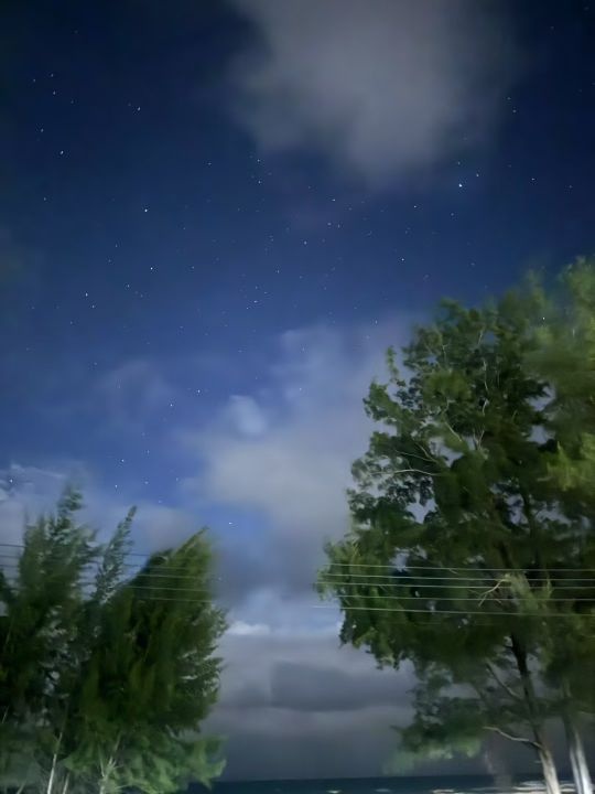 环人才岛公园碧道-平湖浣月