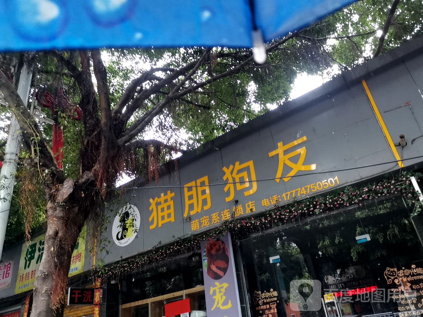 猫朋狗友宠物店