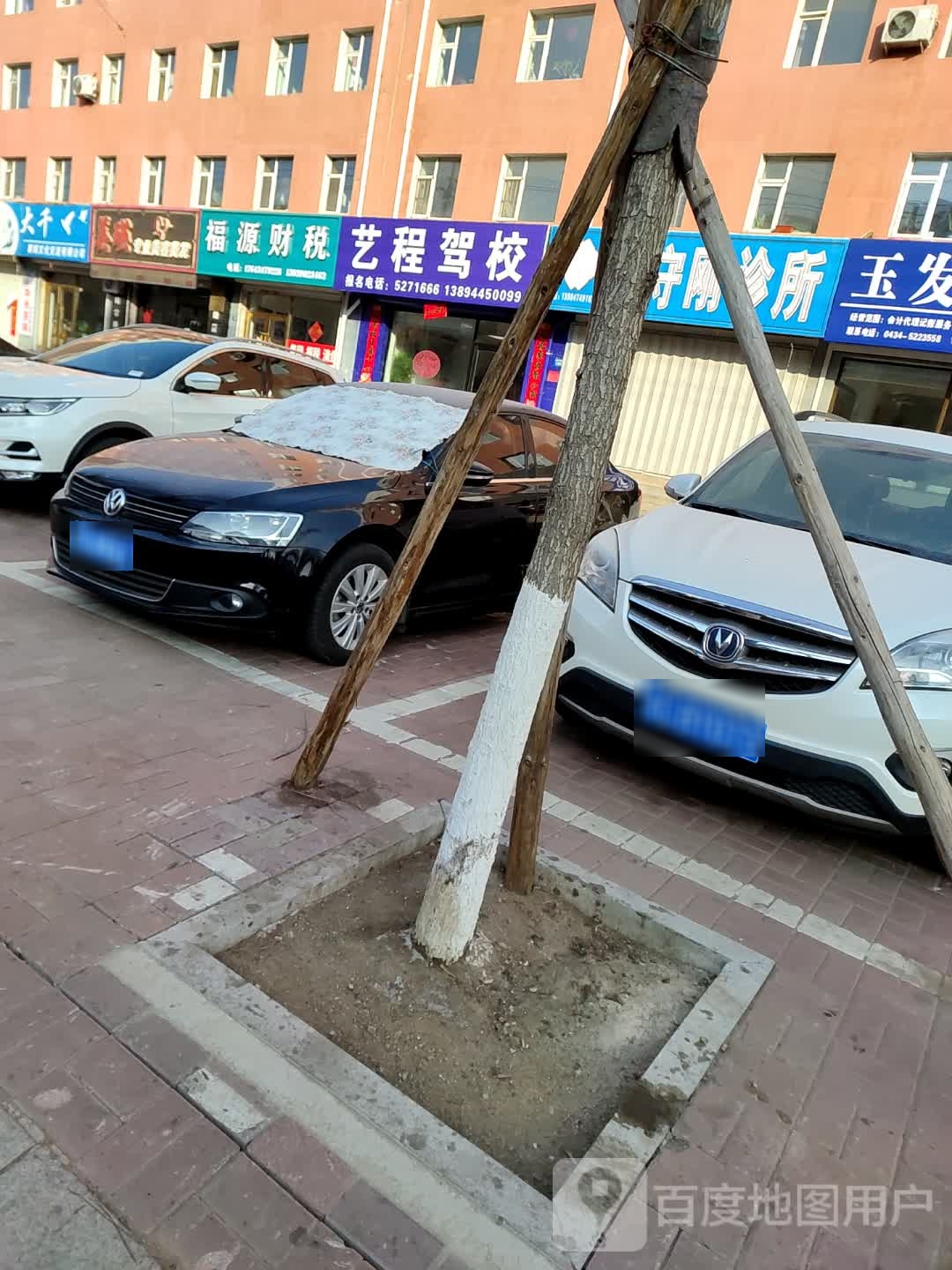 大千赛鸽文化交流有限公可