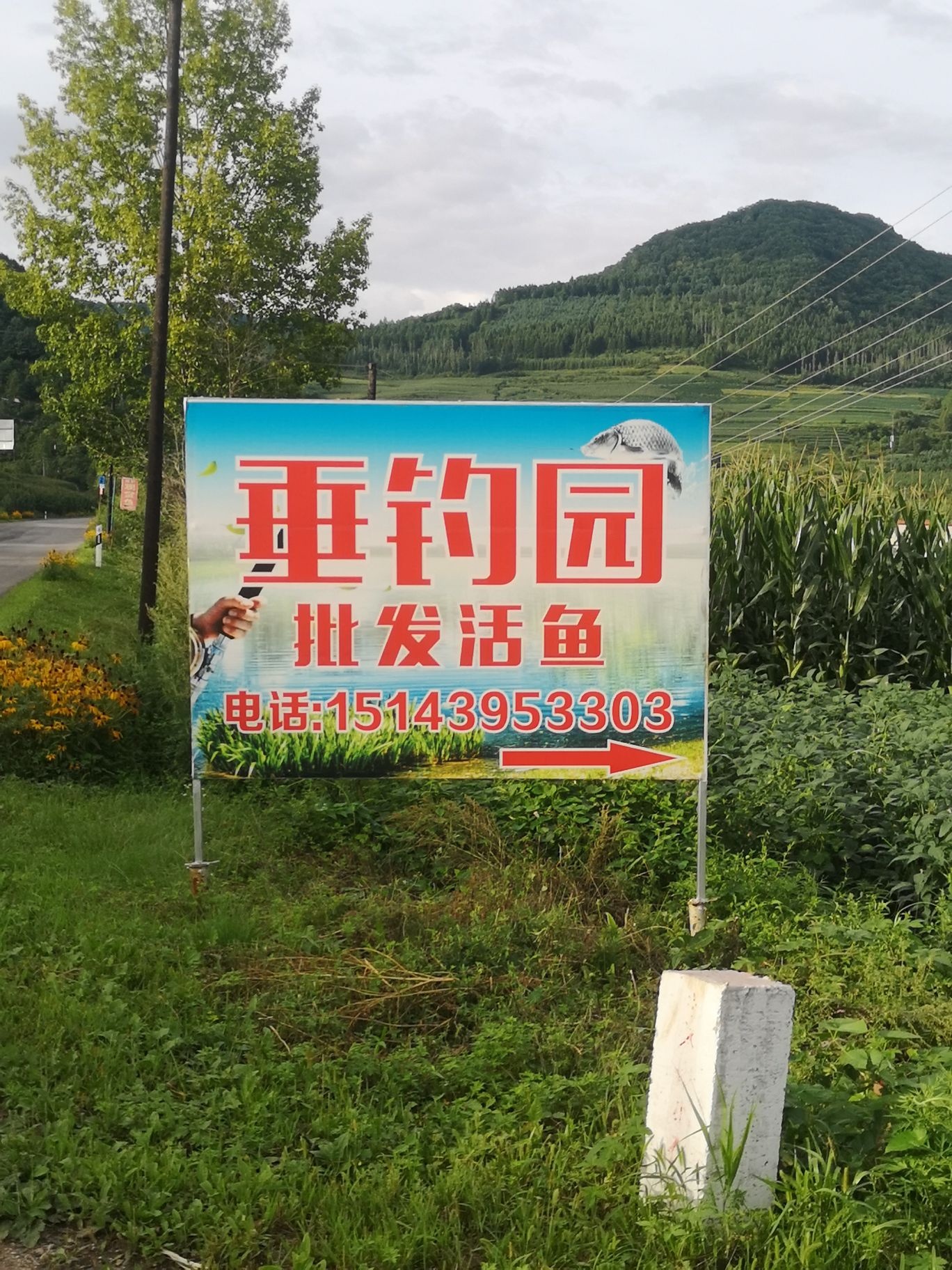 吊打垂钓园