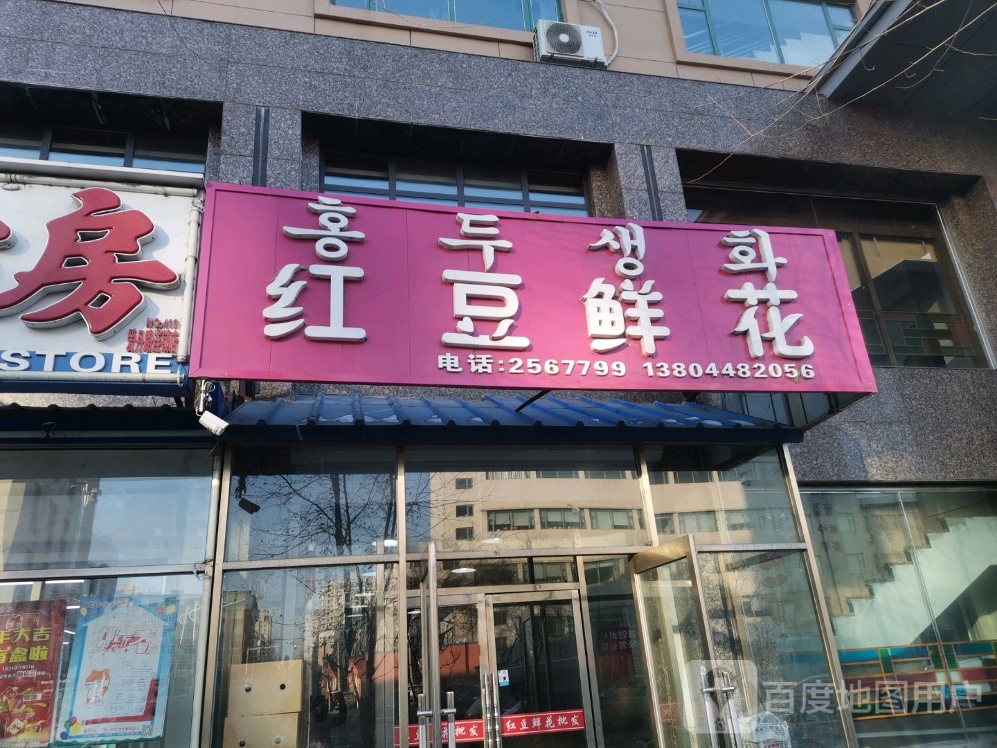 红豆鲜花
