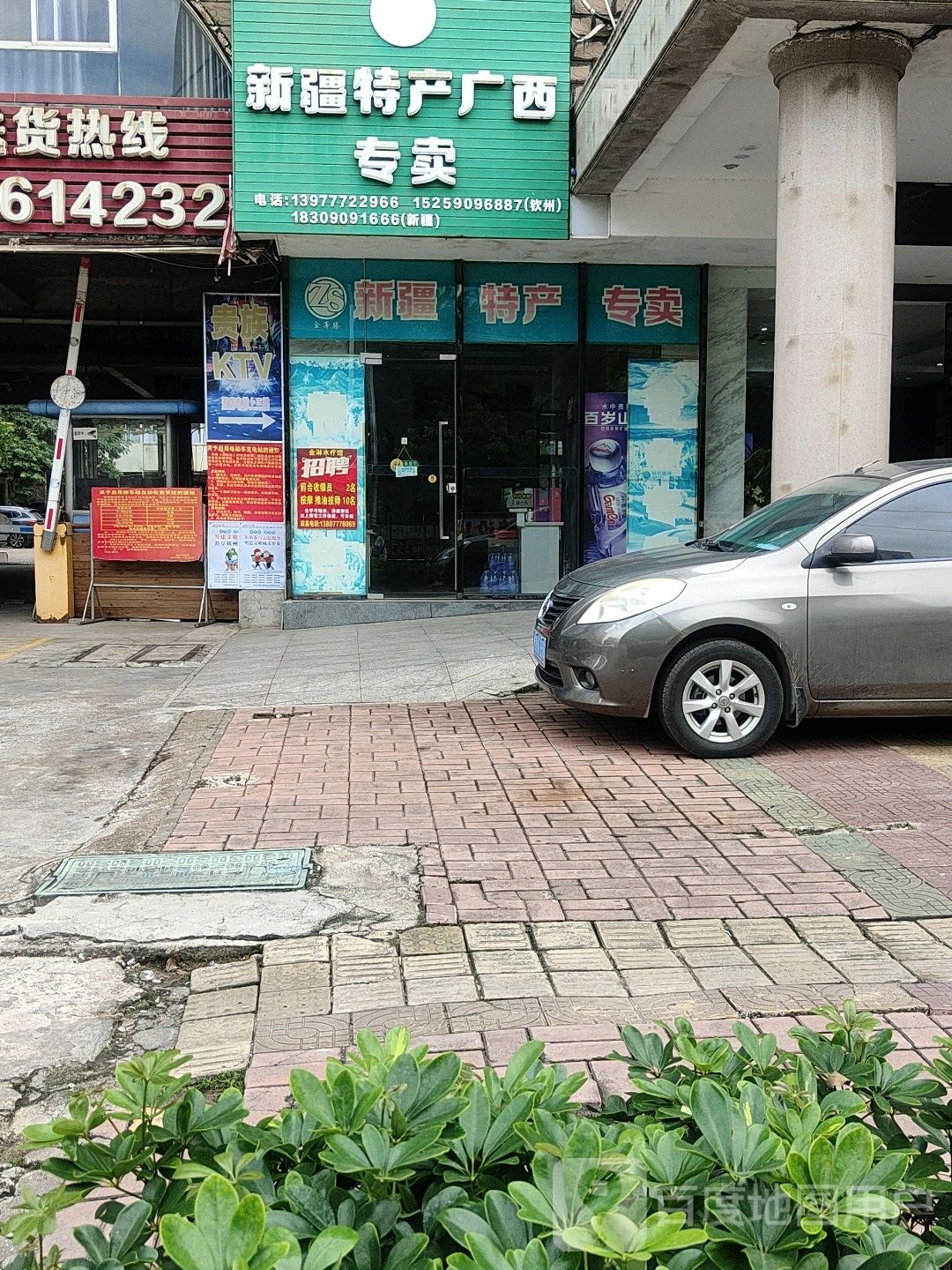 ZS新疆特产广西专卖