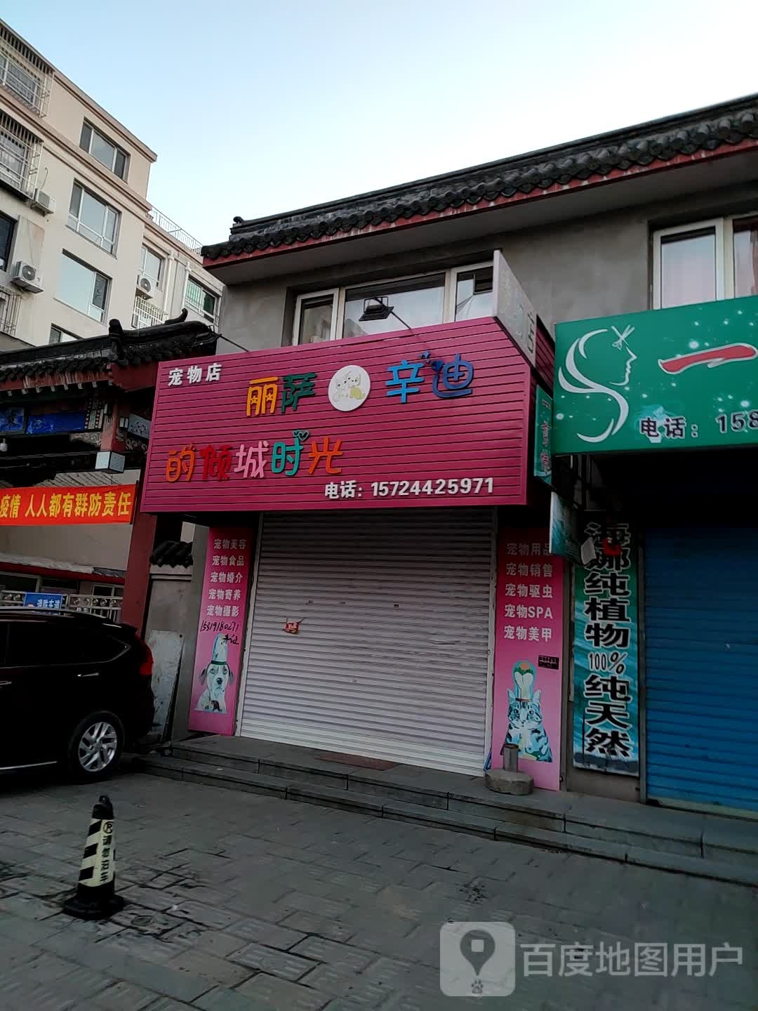 丽萨辛迪的倾城时光宠物店