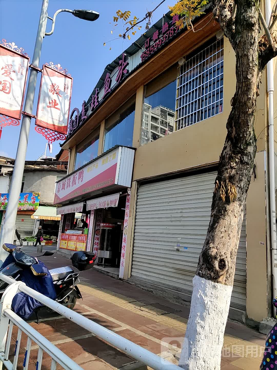 魏道·美蛙鱼头