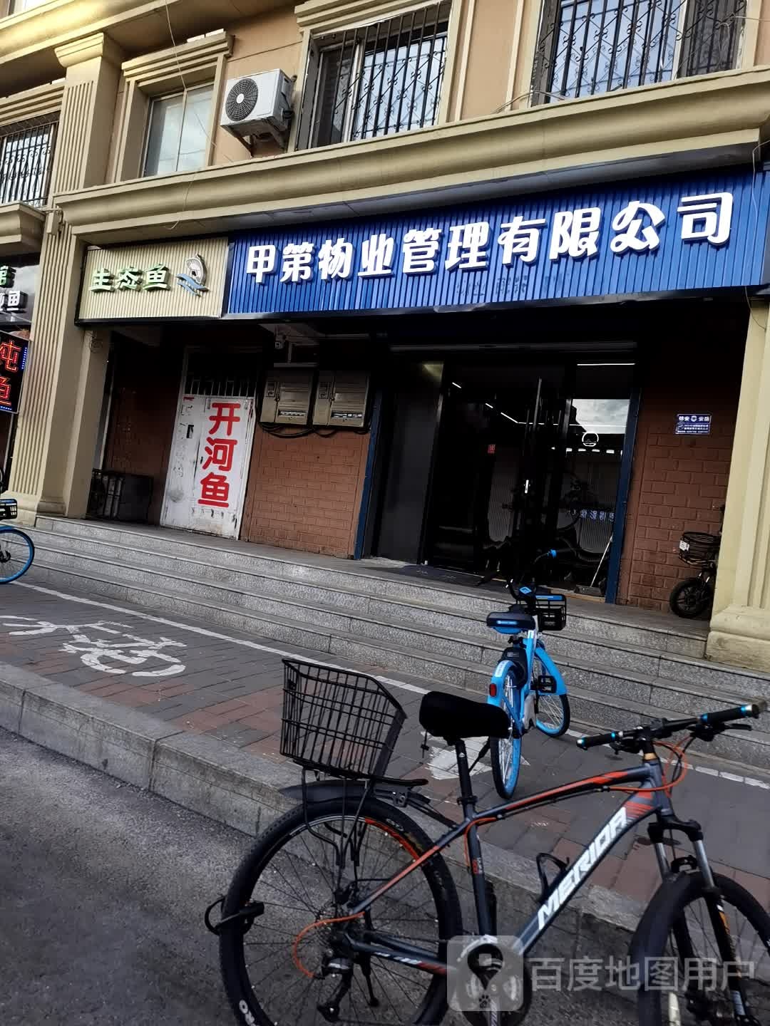 态炼生缋鱼