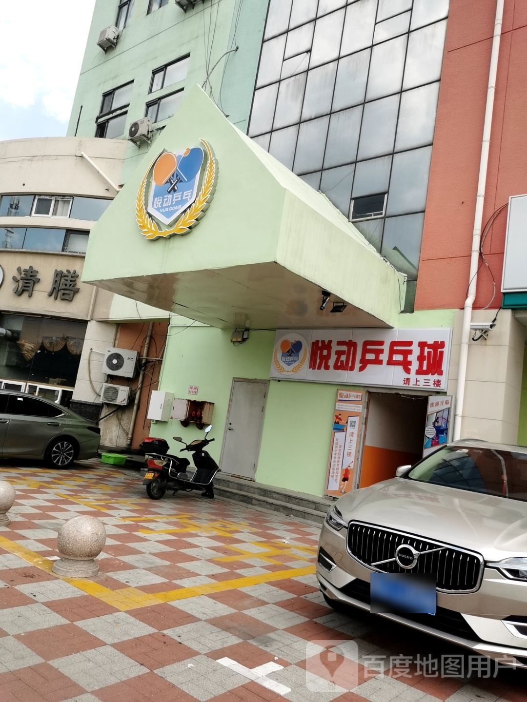 悦动乒乓球球
