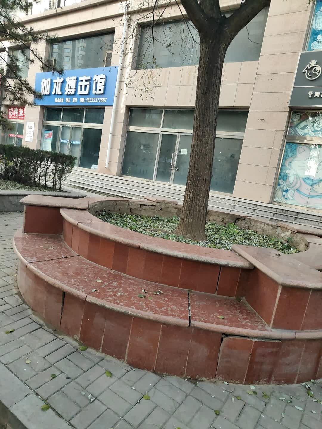 伽术搏击馆