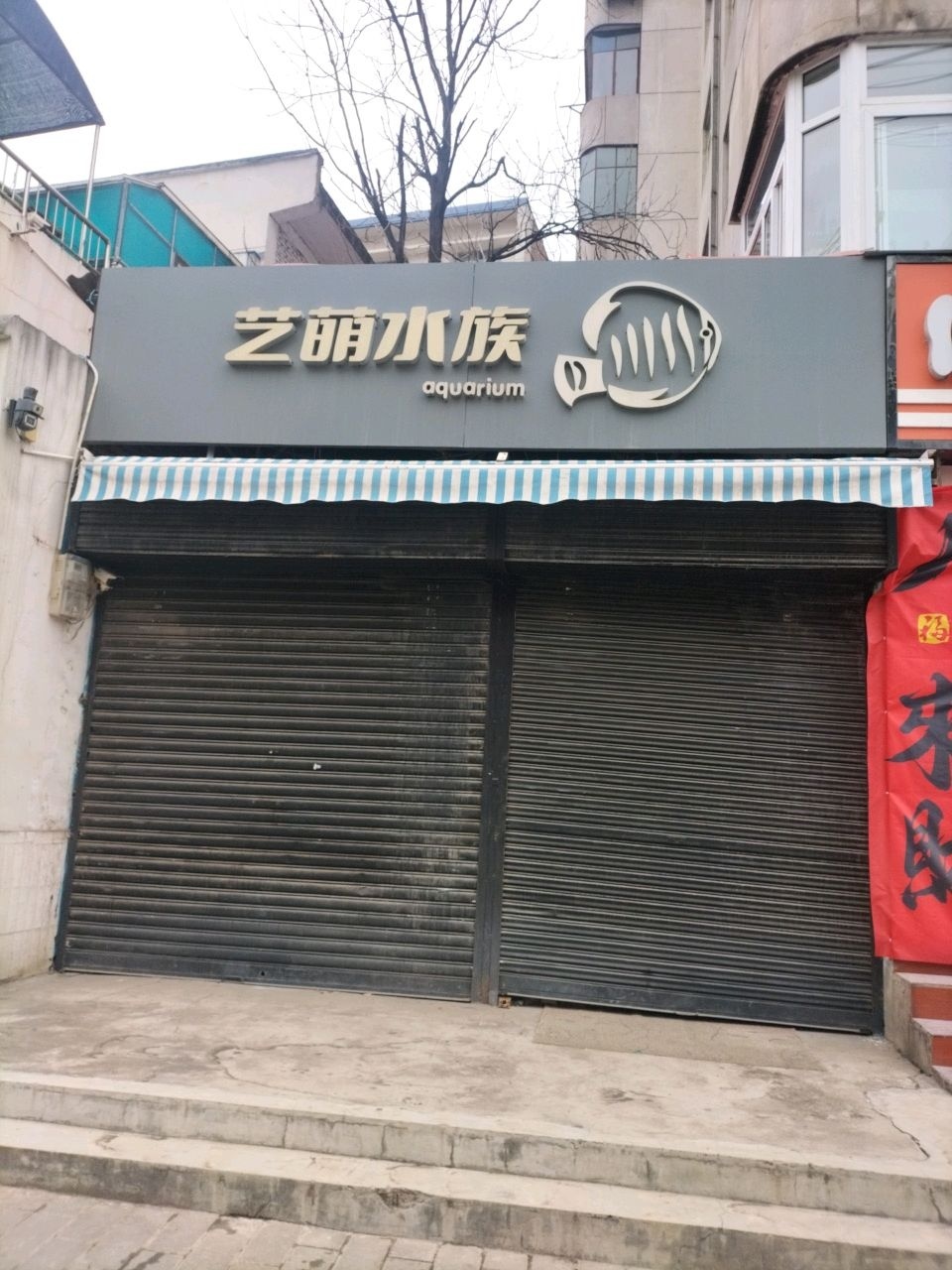 艺萌水族