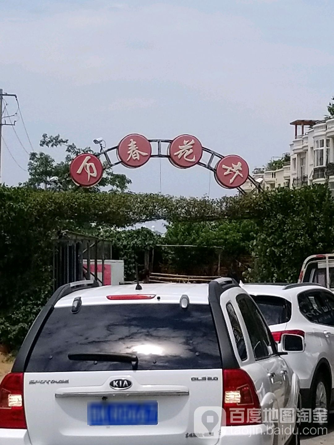 万春花卉