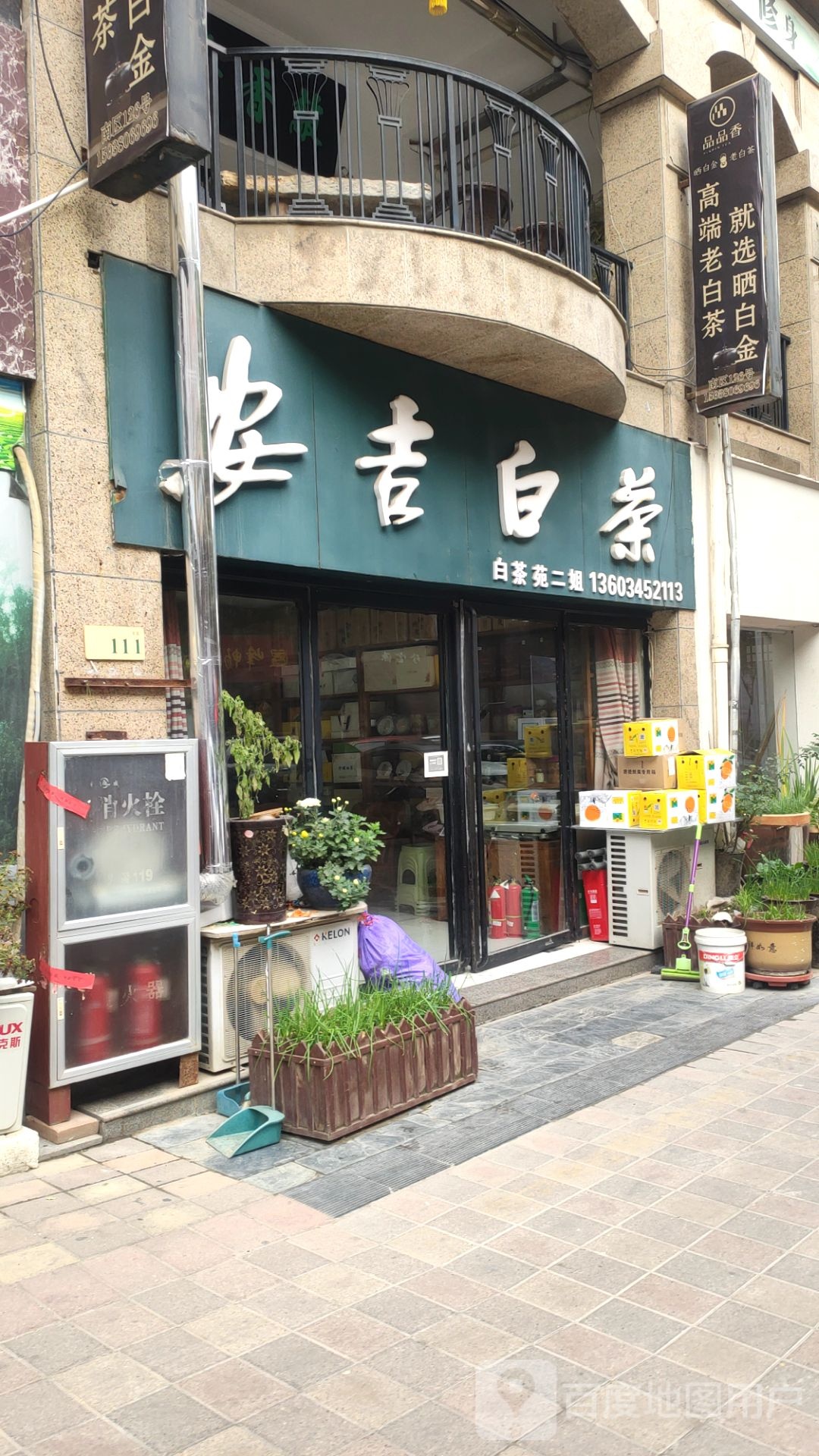 福鼎白茶(汉江路店)