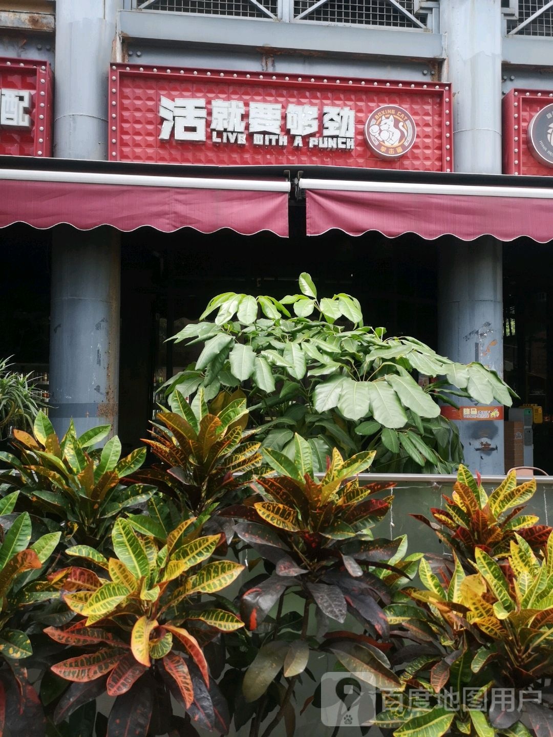 活就要够劲