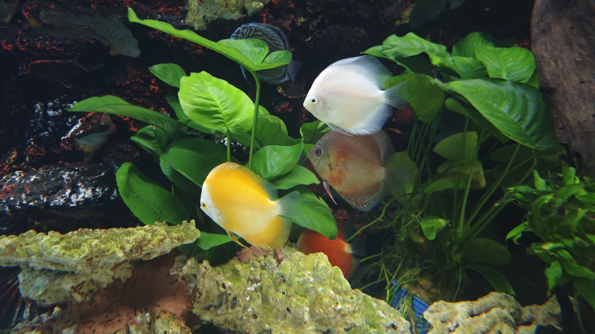 淮安龙宫海洋世界