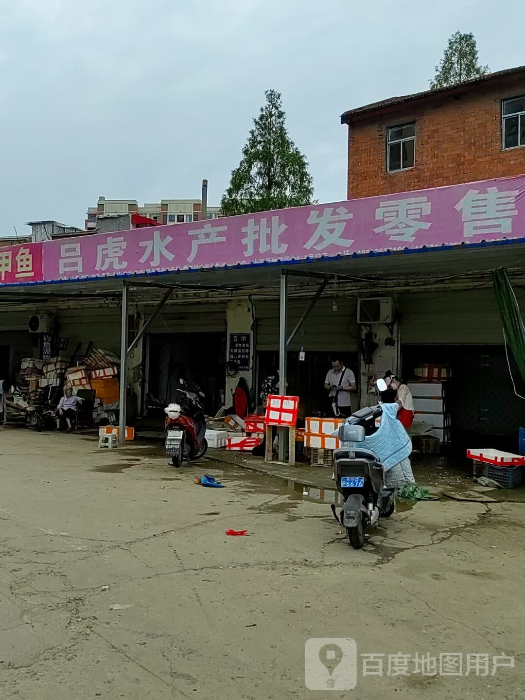 吕虎水产批fa零售