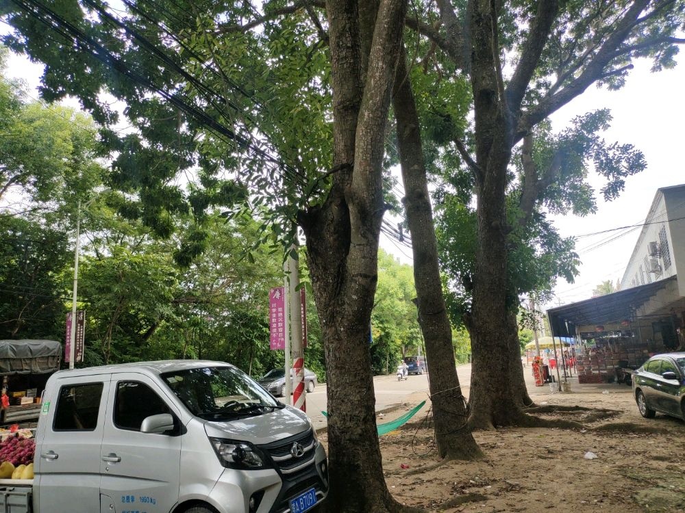 海南恒胜建设工程质量检测有限公司(昌江分公司)