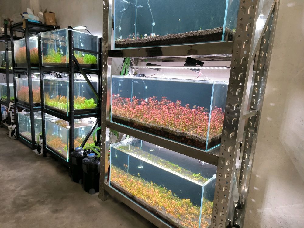 晚溪水景店