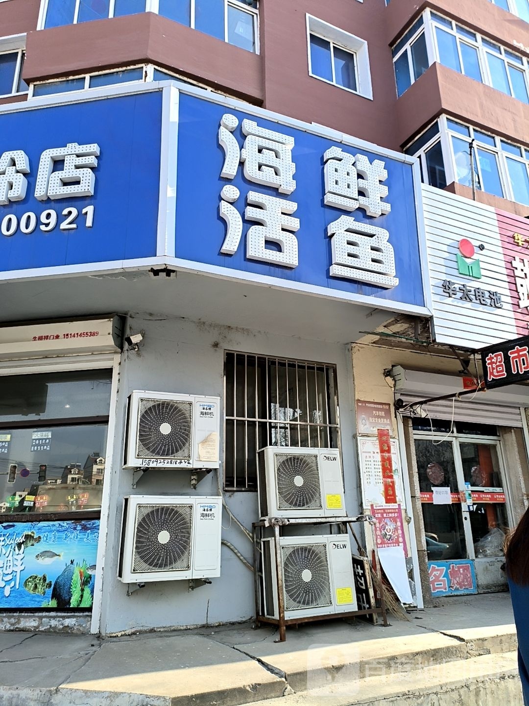 海鲜鱼活