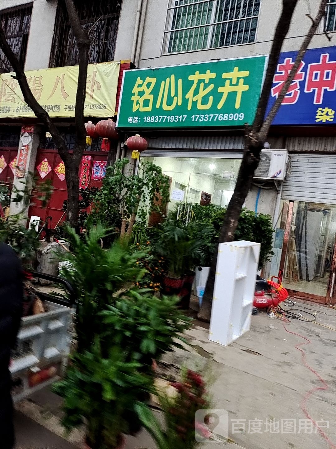 铭心花艺花卉批发