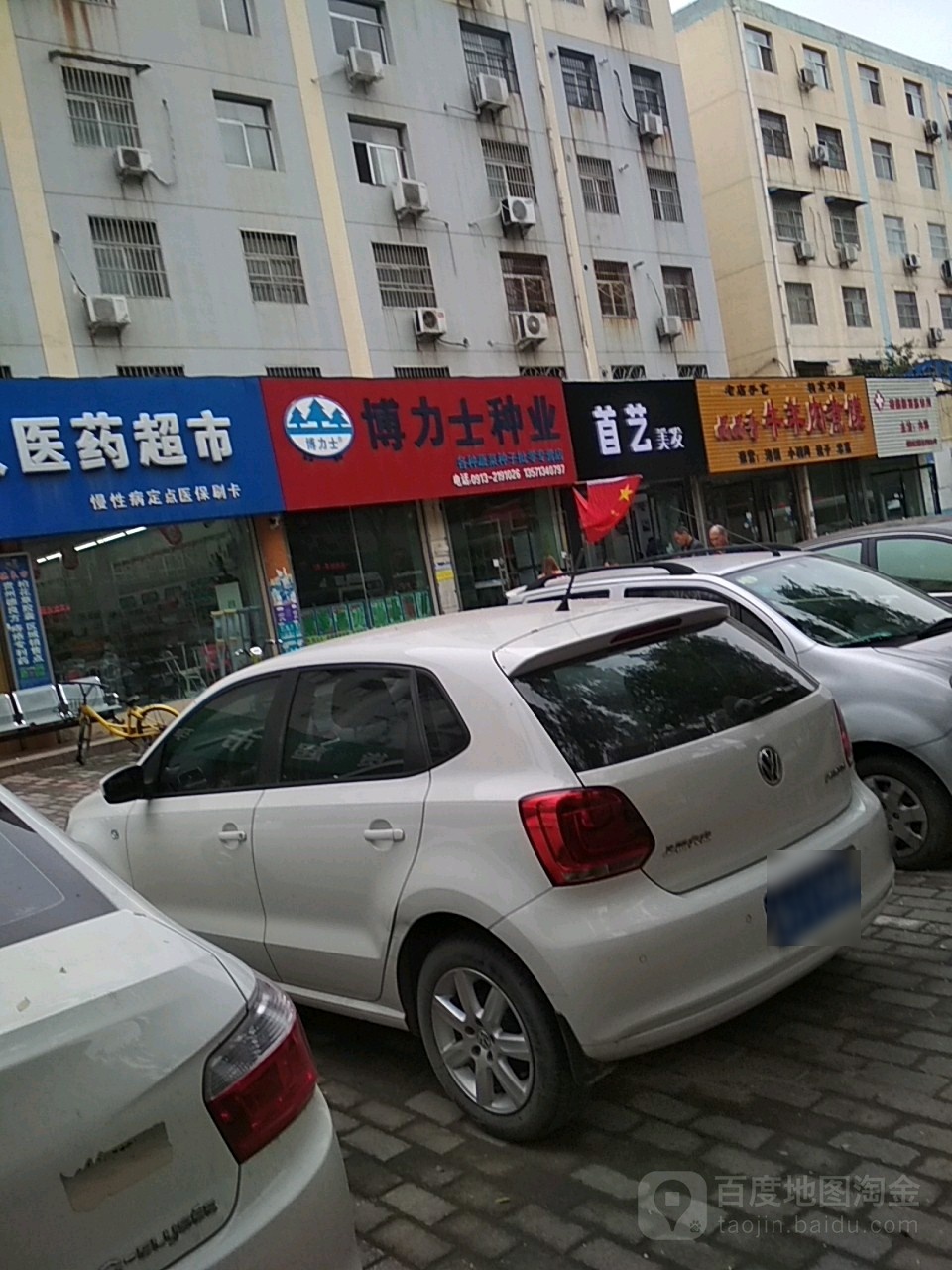 博立式种业