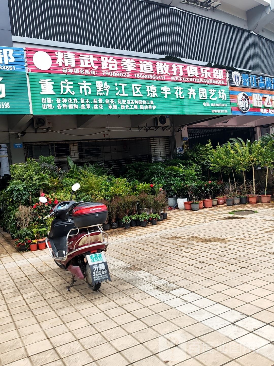 精武跆拳道散打俱乐部