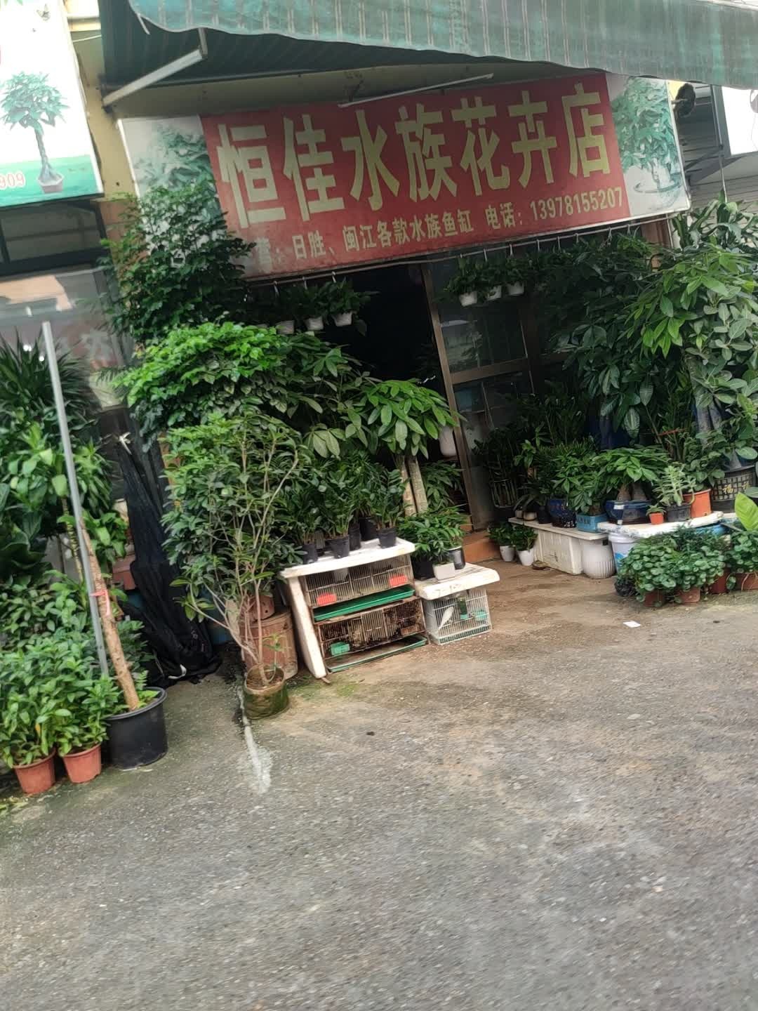 恒佳水族花卉店