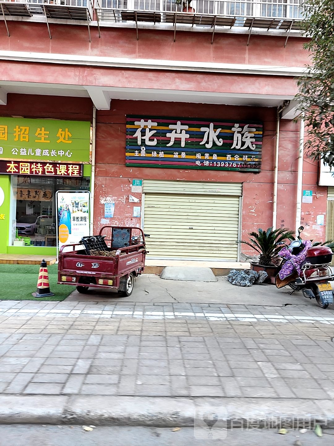 花卉水族