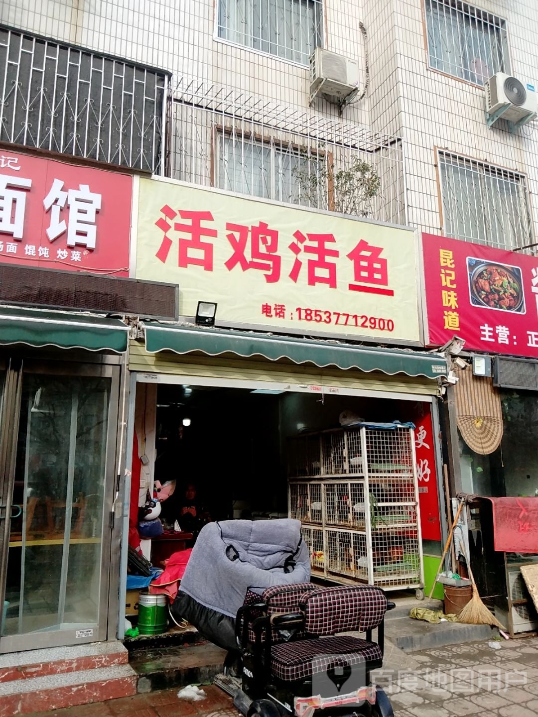 活鸡活鱼(伏牛路店)