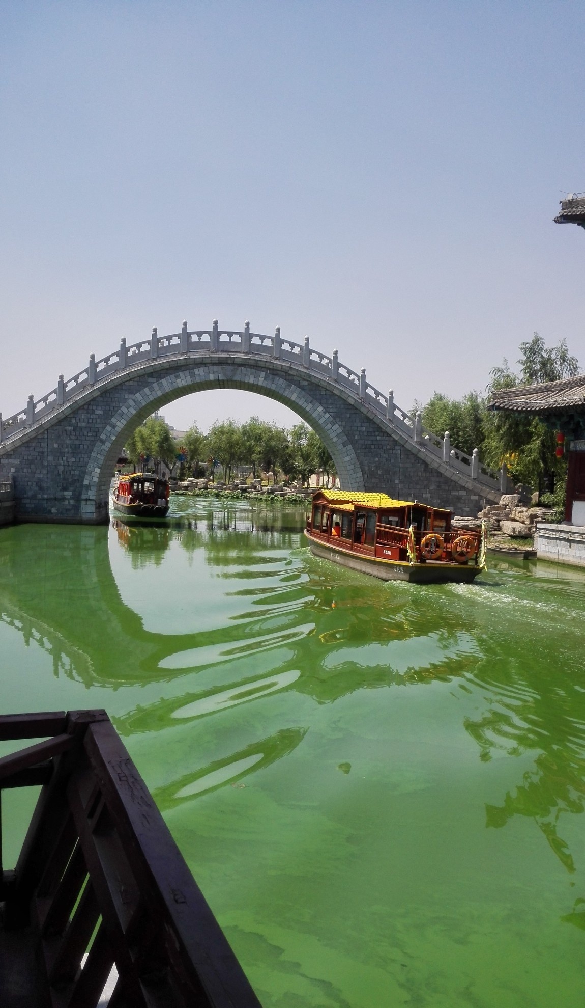 建业七盛角