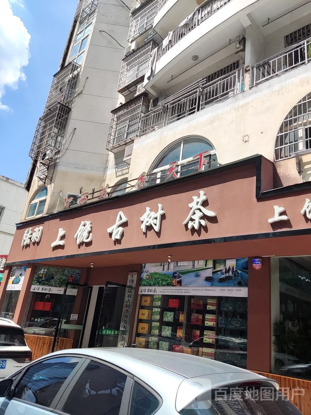 陆羽上饶古树茶