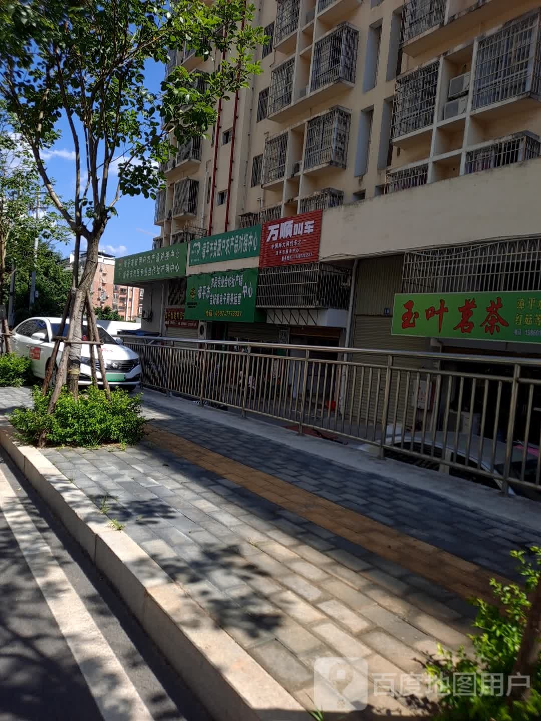 玉叶茗茶