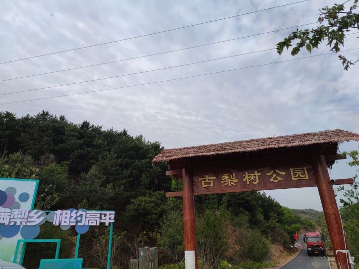 古梨树公园