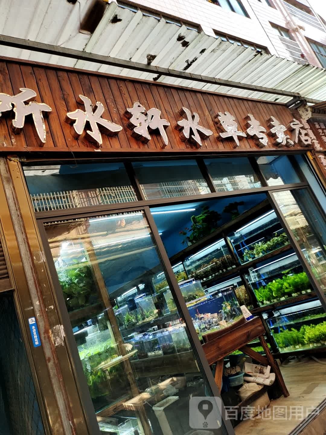 听水轩观赏鱼店