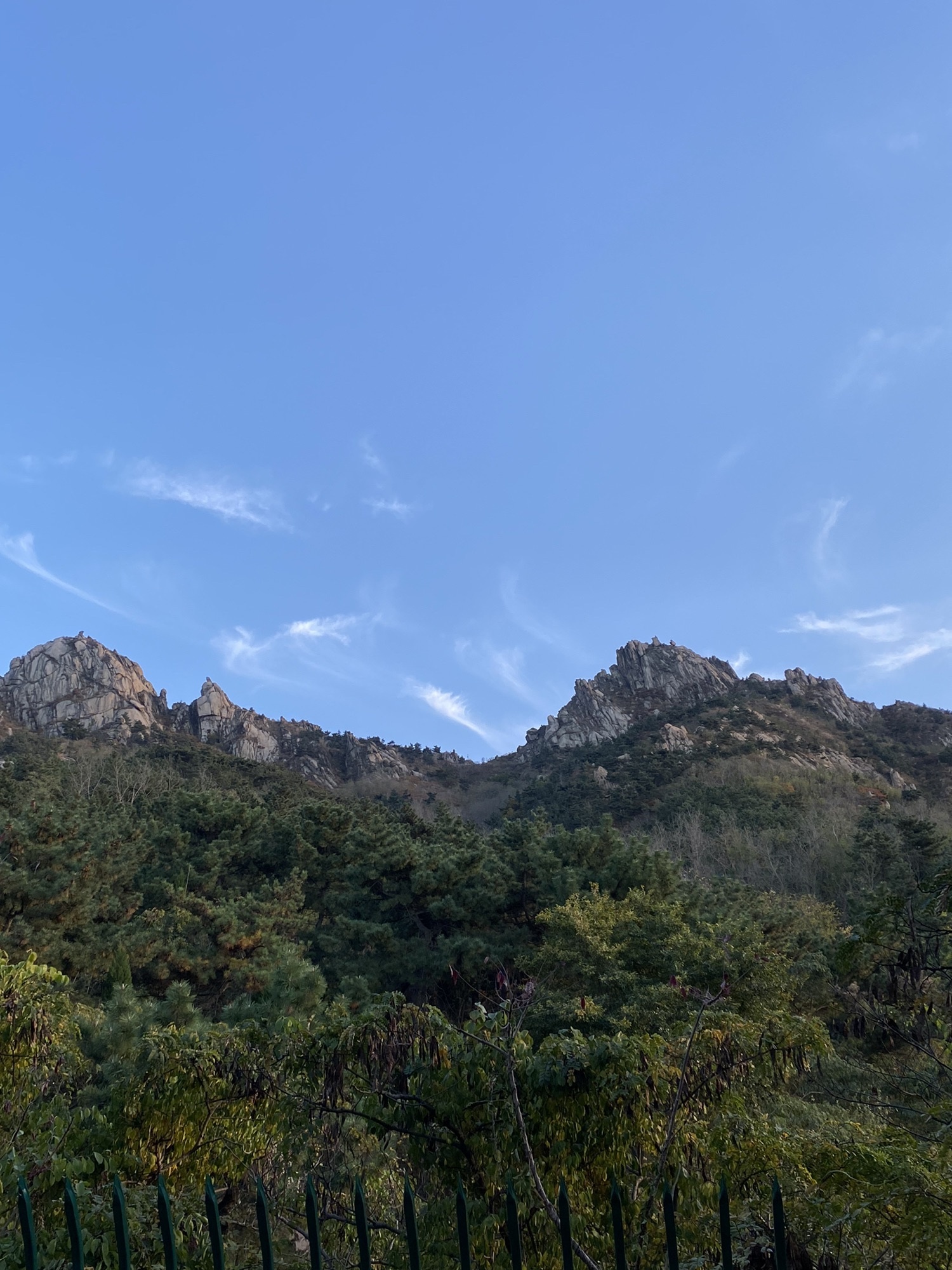 浮山森林公园