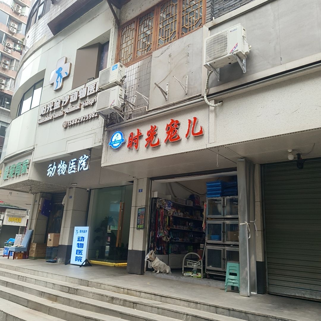 时光宠儿