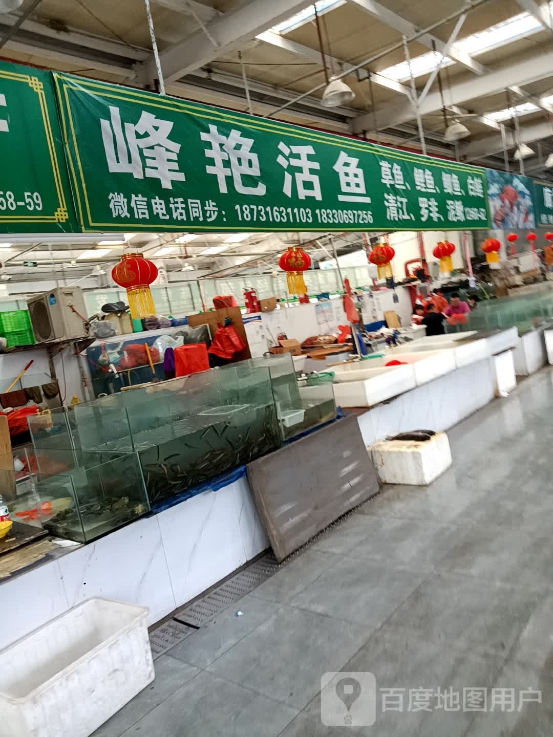 峰艳活鱼