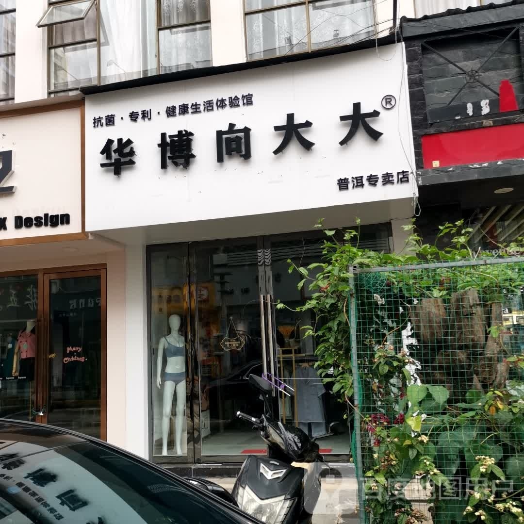 华博向大大宁洱专卖店