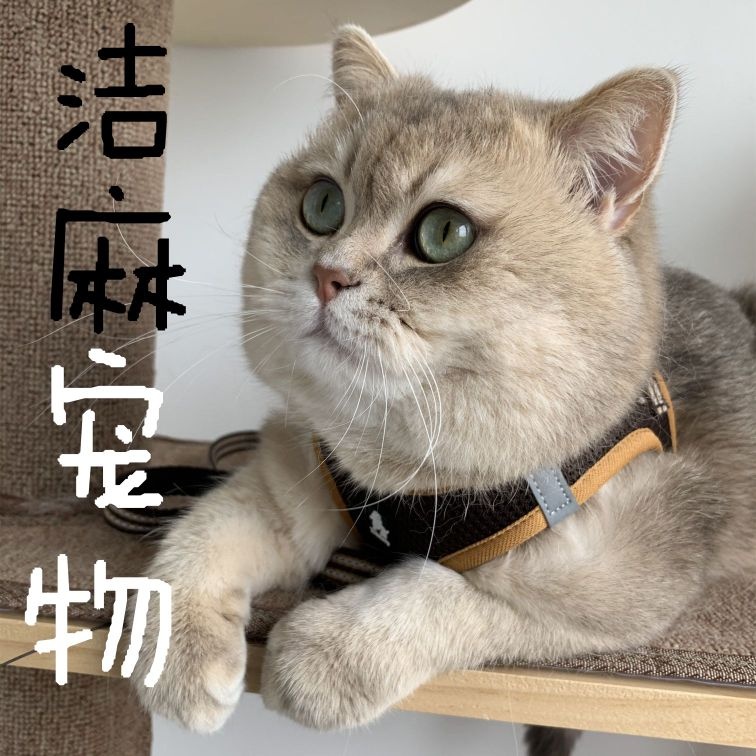 洁麻宠物(蓝海购物广场店)