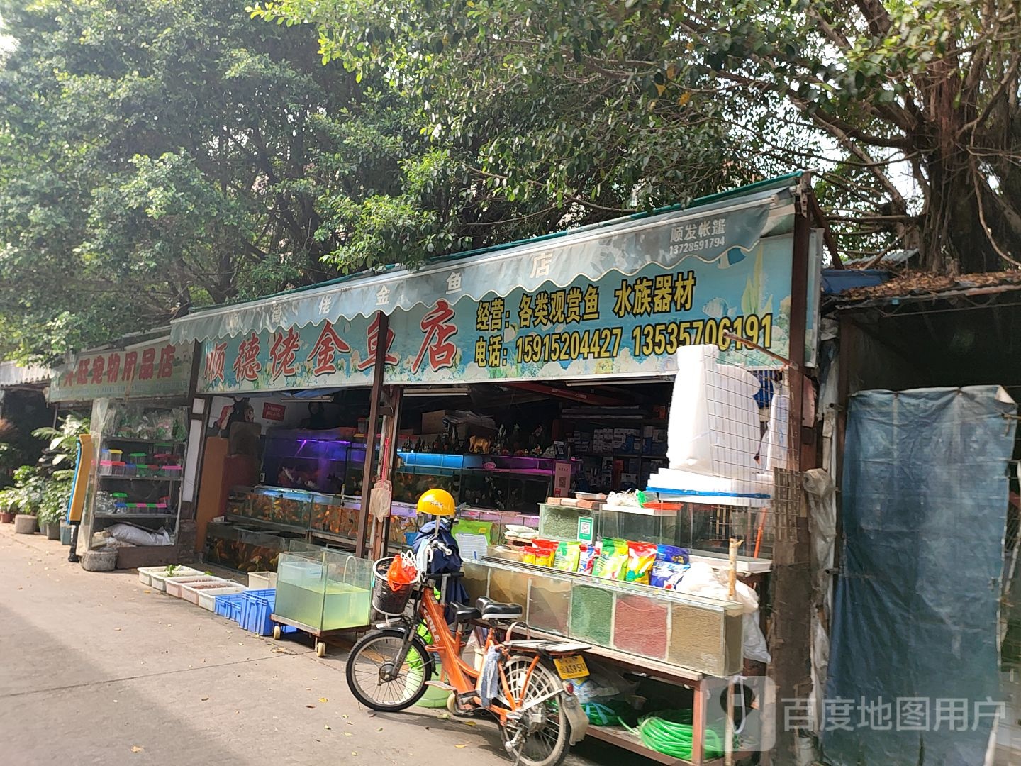 顺德佬金鱼店(南新二路店)