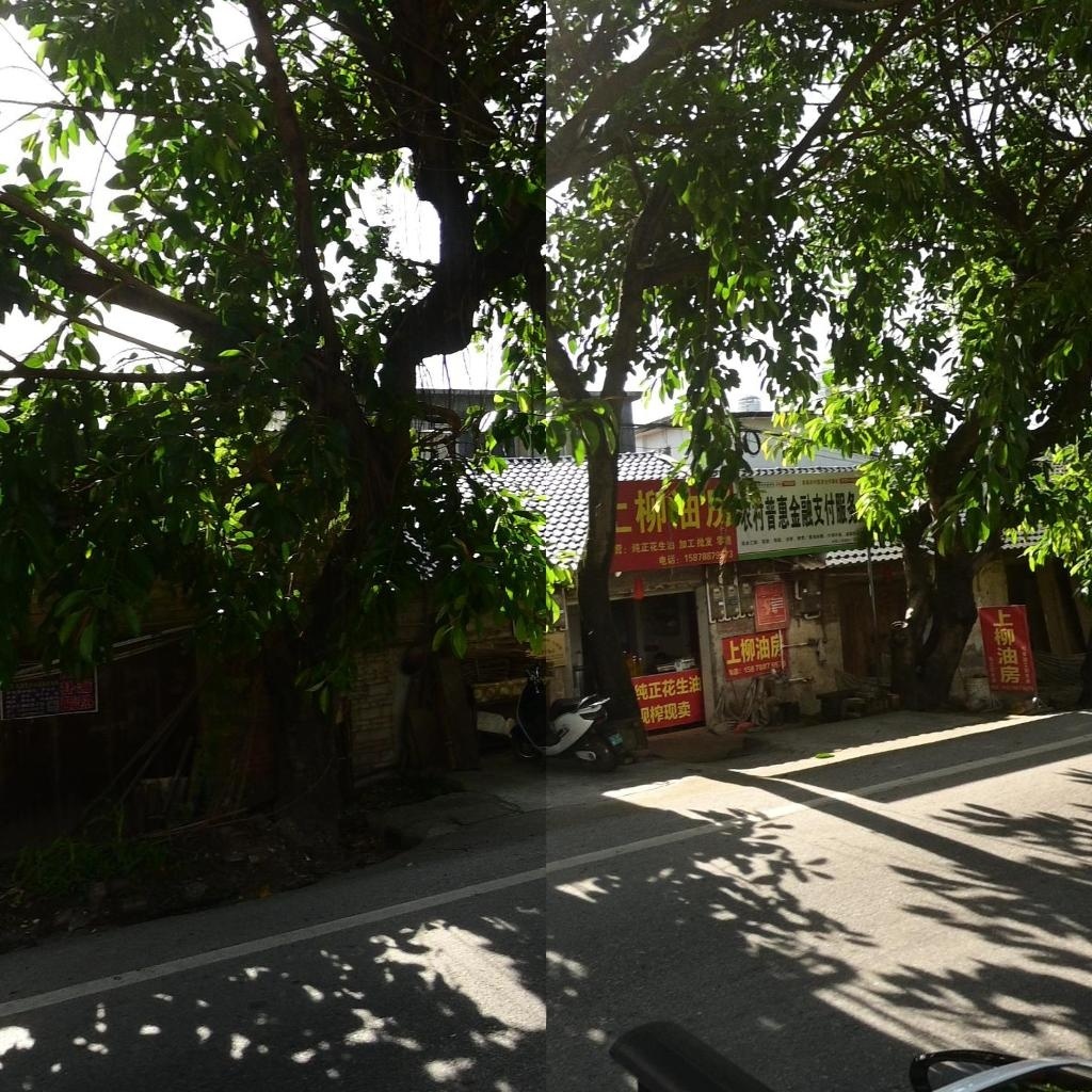 合柳村上柳油房