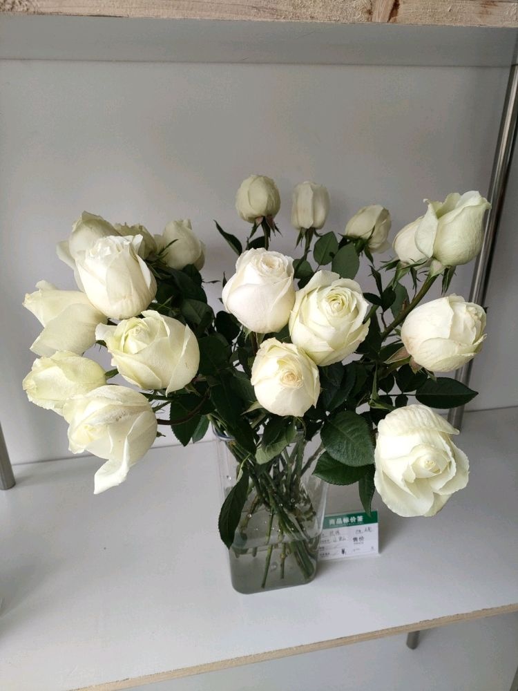 花境鲜花